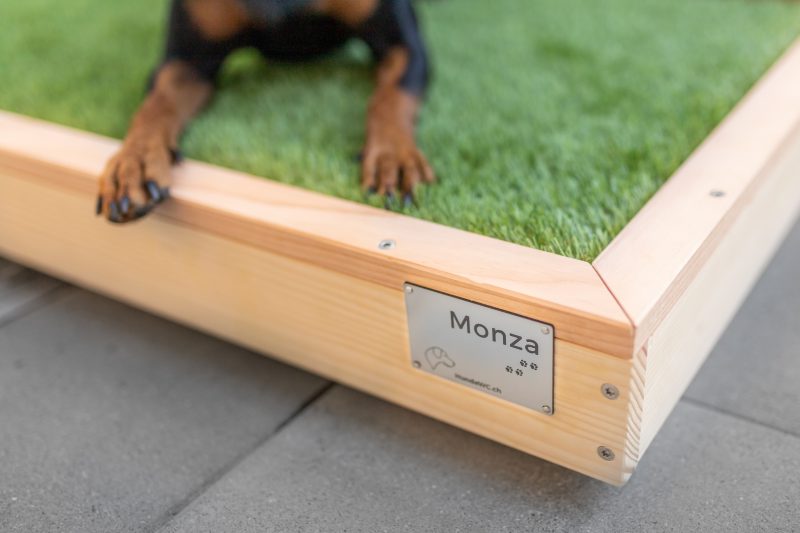 HundeWC: Gross - Hochwertige Hundetoilette für den Balkon aus Holz mit Kunstrasen in 103x65cm